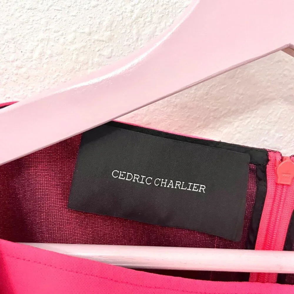 Cedric Charlier Ruffle Detail Pink Black Dress Size 10 Sleeveless Cocktail